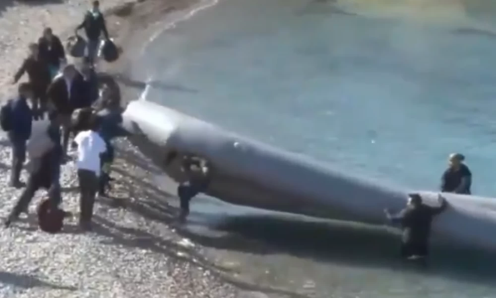 Μέλη τουρκικών αρχών μεταφέρουν βάρκα μεταναστών πριν το ταξίδι στην Ελλάδα (βίντεο)